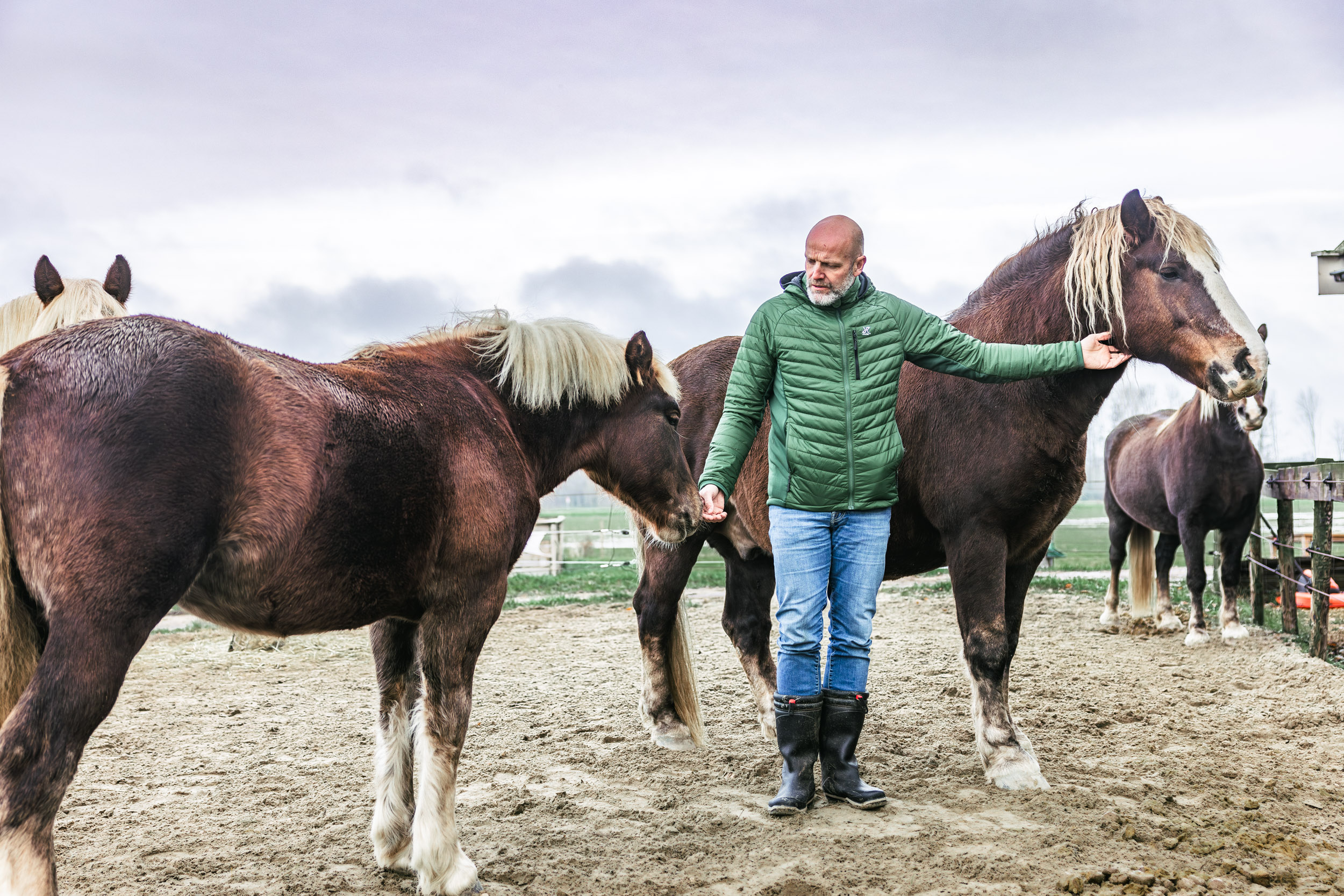 Luc Smiths about Bluezone